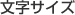 文字サイズ