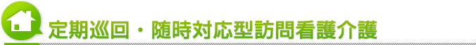 定期巡回・随時対応型訪問看護介護